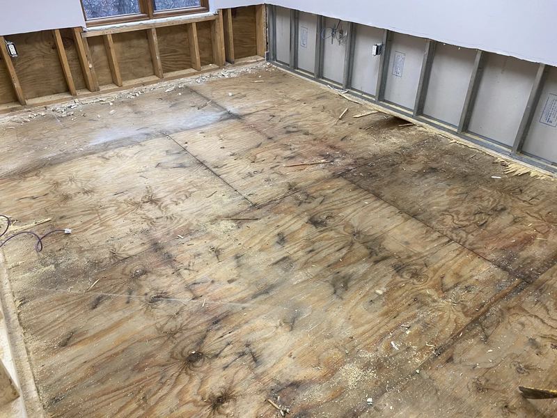 Containment and HEPA-filtered air scrubber set up for an active mold remediation