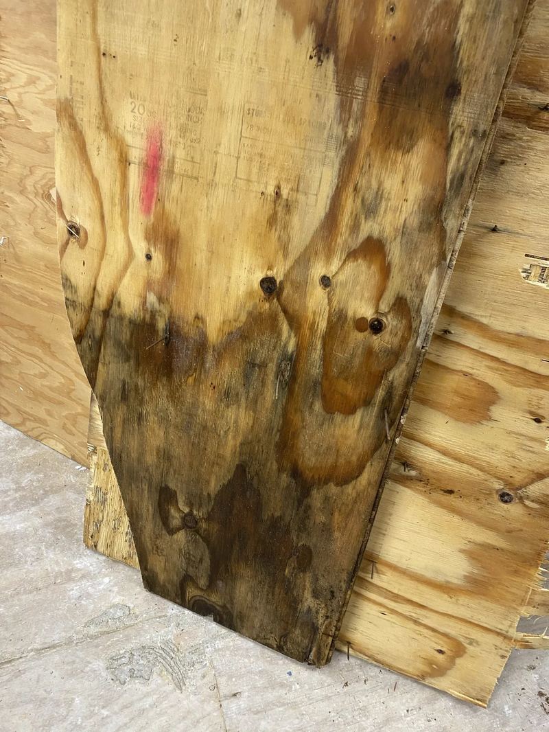 Visible mold on a wall surface before encapsulation and removal