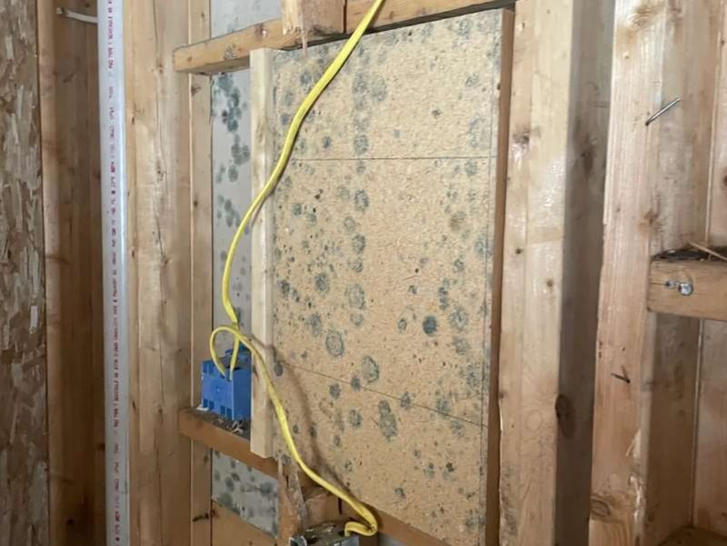 Subfloor mold beneath a second flooring layer documented during demolition