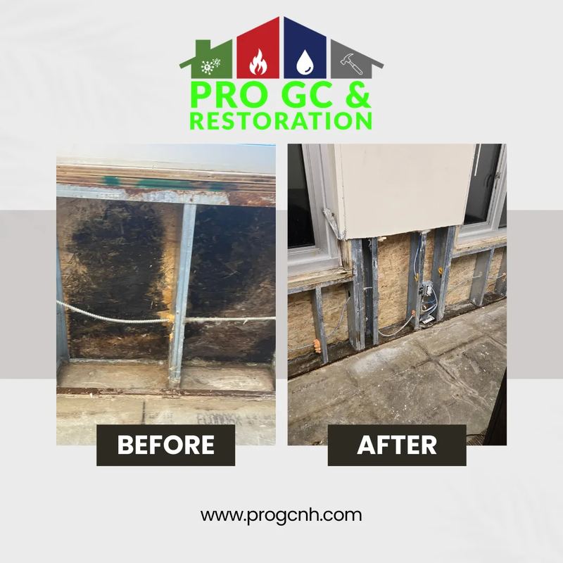 Mold-affected sheathing exposed after careful removal of the finish layer