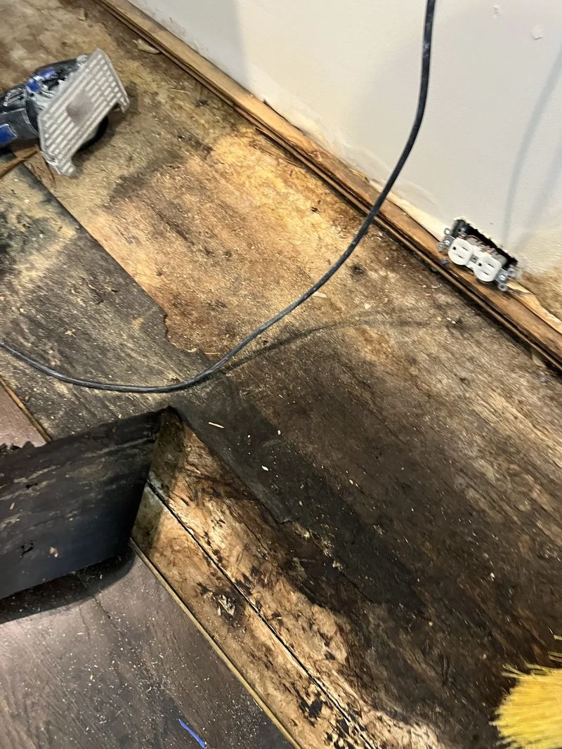 Pro GC technician removing mold-damaged drywall during a remediation project