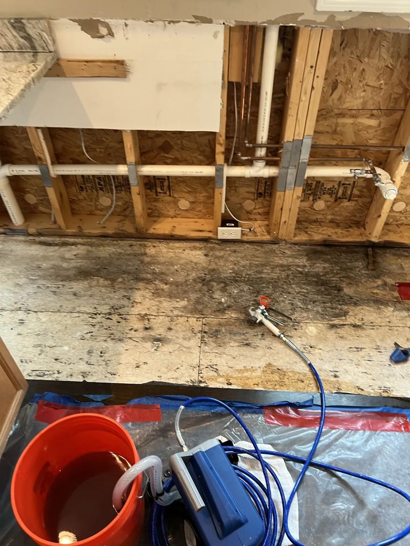 Surface mold growth on a closet wall flagged during a mold inspection