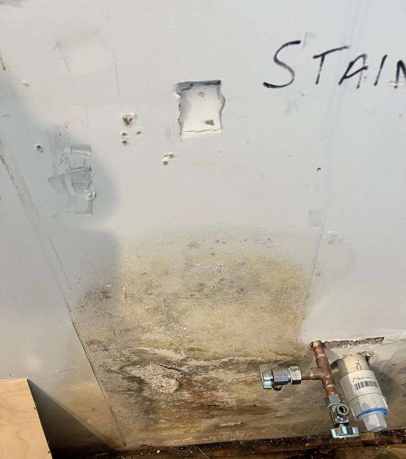 Microbial growth uncovered on subfloor underlayment during a moisture investigation