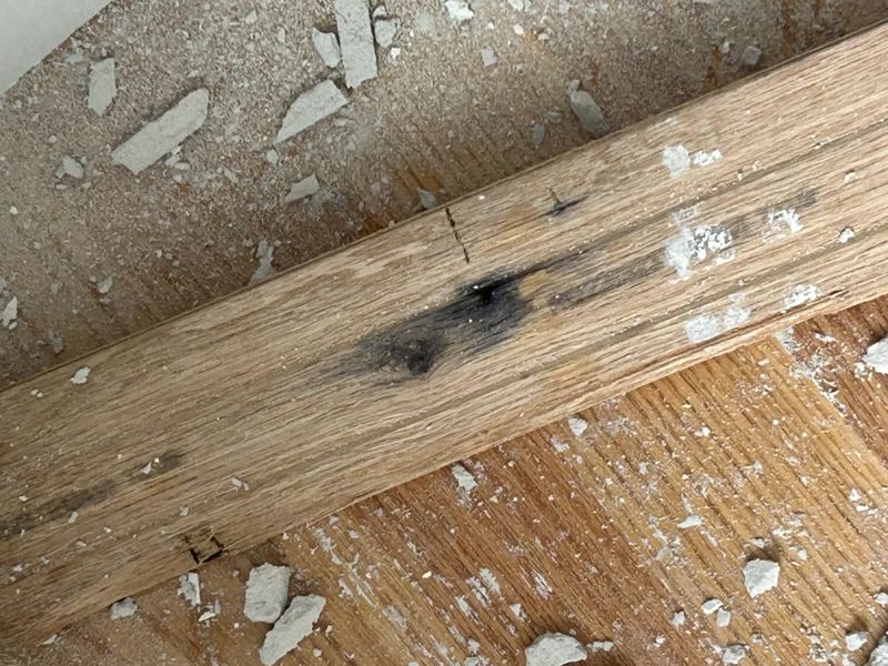 Water-damaged bathroom wall and ceiling opened up for stud-wall drying