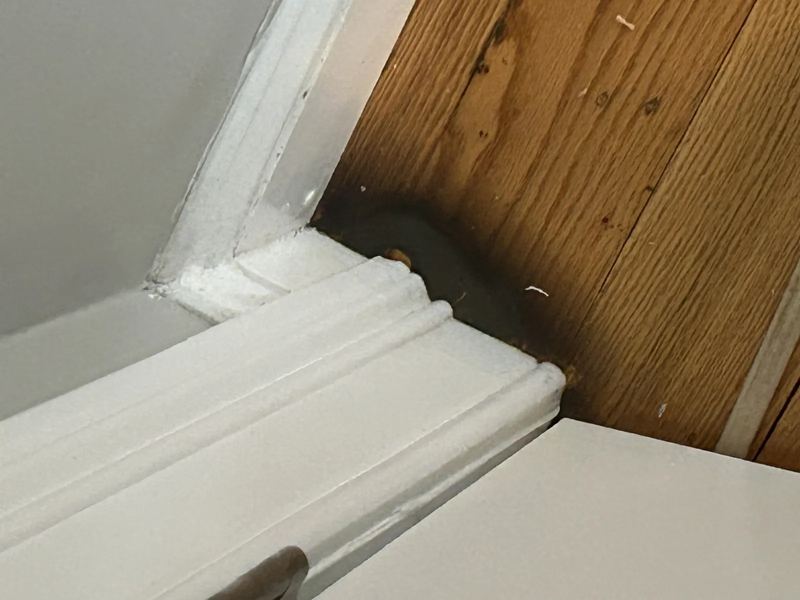 Saturated drywall and insulation removed below the affected waterline